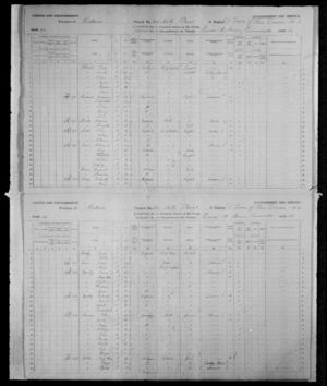 Second Census Of Canada, 1881