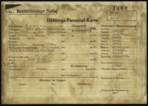 Dobe Munitz - Stutthof KZ prisoner #46781