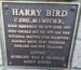 Harry Bird