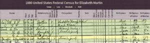 1880 Census Image for Elizabeth Martin