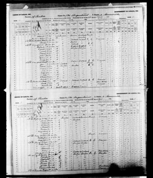 Ignace Odjick 1891 Census, Grenville, Quebec (b)