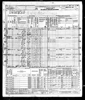 1950 census for McKinley Newport