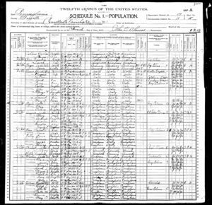 Minerva Enos Pierce 1900 Census