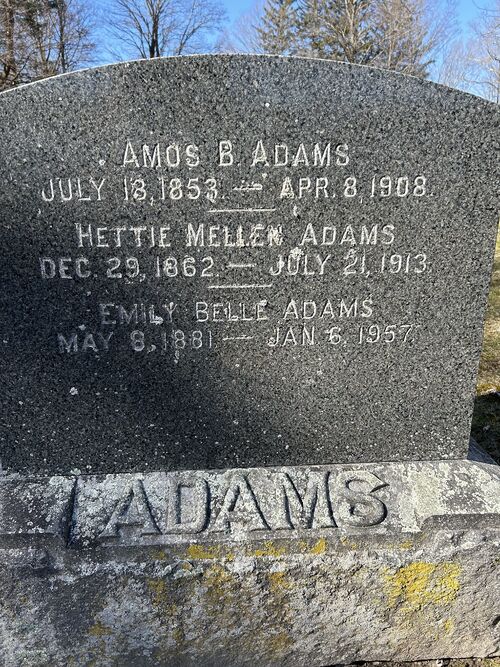 500px-Adams-33816.jpg
