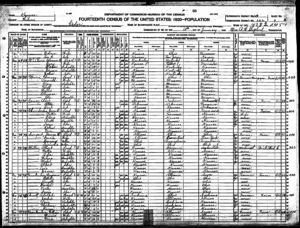 1920 United States Federal Census - Cedar, Wilson, Kansas