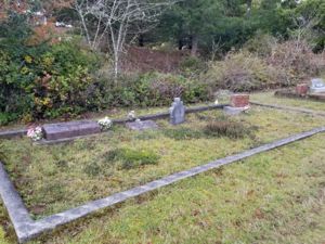 Crawford plot