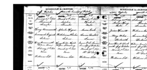 Birth Certificate for Susannah Donnenwerth