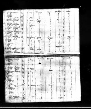 Gottsponer Family Immigration Record aboard the Normandie Oct 1 1883