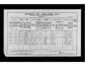 1911 Irish Census - Thomas Brennan family