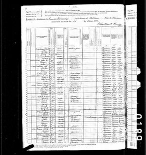 1880 U.S. Census page 1 of 2