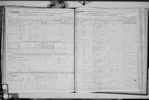 New York State Census, 1865
