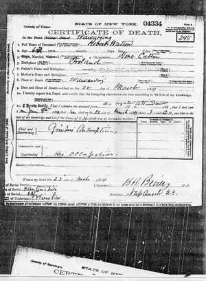 Robert Watson certificate of death 1884