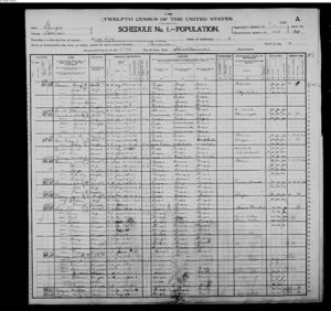 1900 census John Easterling family