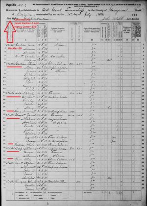 Delp, Hackler, Sage & Wright Families 1870 Census