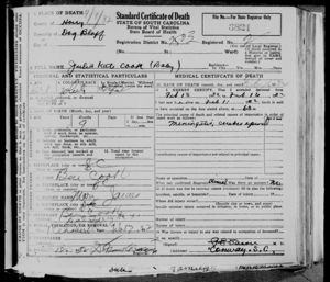 Death Certificate for Julia Kate Cook