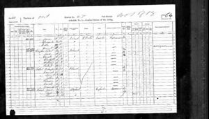 1871 Census: Robert Grogan & Jane McIntosh & Family