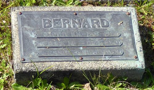 500px-Bernard-3499.jpg