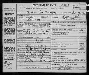 Death Certificate for Carolyn Sue Bowling