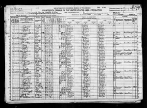 Emit Williamson United States Census, 1920