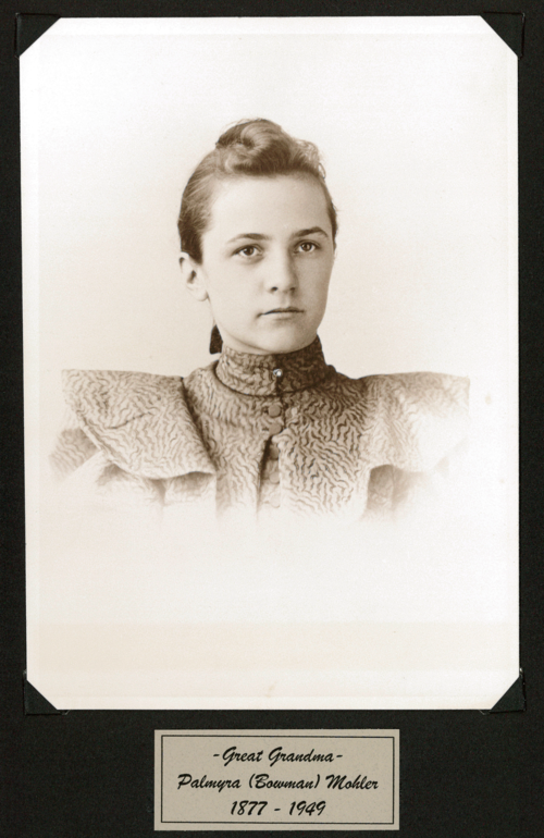 500px-Bowman-4761.png