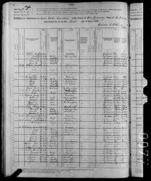 United States Census, 1880