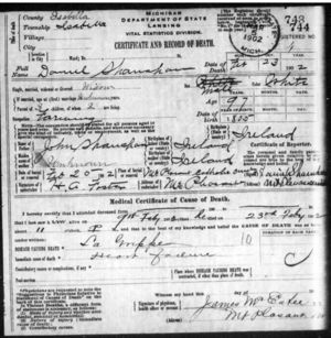 Daniel Shanahan Michigan Death Certificate 23 Feb 1902