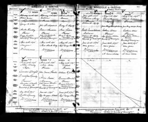 Charles Herman Billings - Birth Record