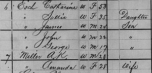 Catharine Esch and A K Miller households, 1880 US census