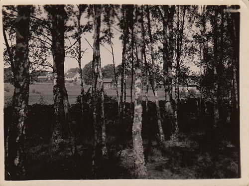 500px-LillaLandaThruBirches.jpg