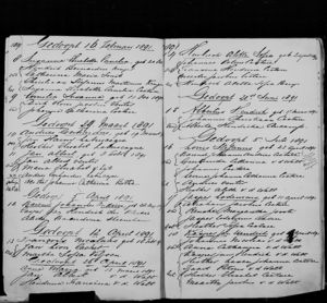Baptism Record of Andries Gerhardus Labuschagne (b. 1891)
