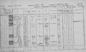 1871 Canada Census,  Horace Dunlevie and family