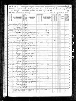 1870 United States Federal Census