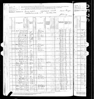 1880 Census - Sarah as a widow