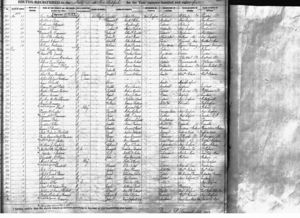 Alfred Laforce Birth Record