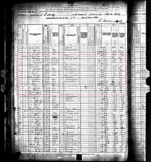 Raines family, 1880 census