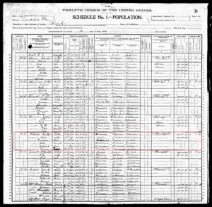 Lucius & Mary Alice Williams family, 1900 census