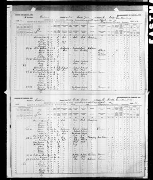 Census of 1891: William Wrightman