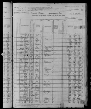 1880 US Census, (ED) 19, sheet 336C
