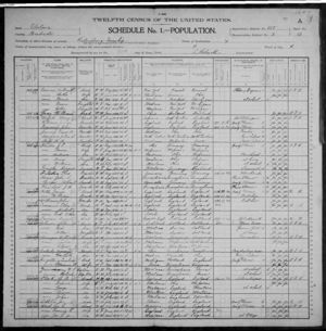 1900 census Radersburg Township, Broadwater, Montana, USA