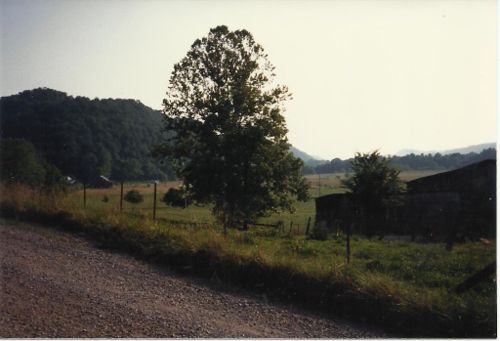 500px-Moore-8476-7.jpg