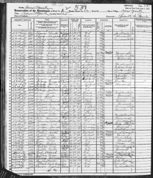 1925 New York census - Maurice Delaney Family