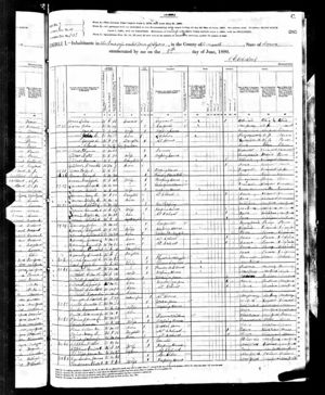 US Federal Census 1880
