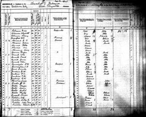 1885 Palmyra, Kansas census, John Almond family and Rufus Brown