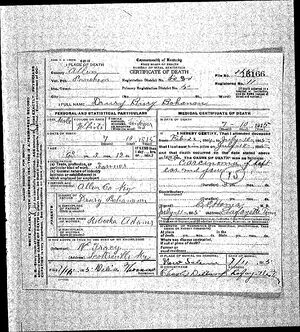 Drury Burg Bohannon death certificate