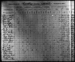 State Censuses 1829-1875: Marlboro. Census Records 1875, Census Records 1829–1875, State Census Records 1829–1920