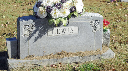 500px-Lewis-55063-1.jpg