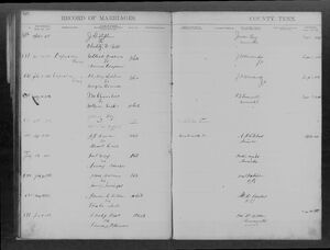 Marriage Record for Phillip Adkins and Mary Ann Trammell