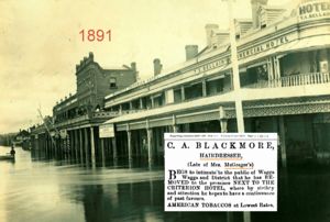 Charles Blackmore's premises in Wagga Wagga 1891