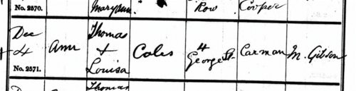 500px-Coles-2242-1.png