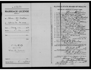 Marriage License - Alice A (Griggs) Case & Thomas D. Foster